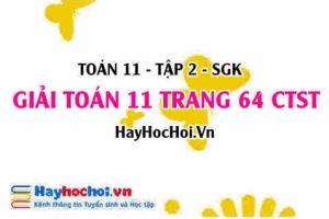 Giải Toán 11 trang 64 tập 2 Chân trời sáng tạo